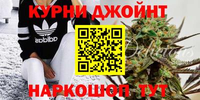 PSILOCYBIN Новозыбков