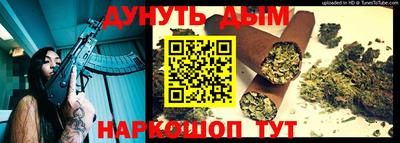 сатива Новокубанск