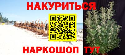 сатива Новокубанск