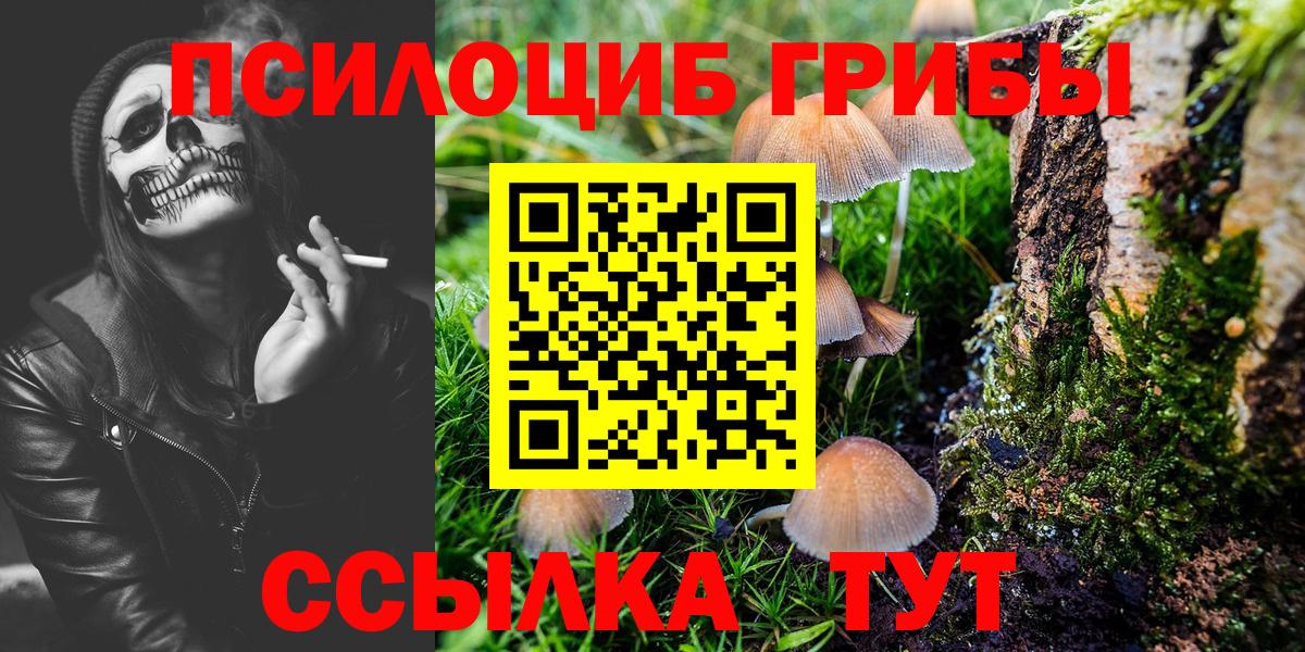 Псилоцибиновые грибы прущие грибы Ахтубинск