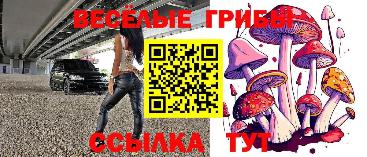 Ахтубинск  Галлюциногенные грибы прущие грибы  Вход с VPN  Галлюциногенные грибы мухоморы 